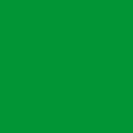 OKLEINA MEBLOWA 200-2423 D-C-FIX GREEN POŁYSK