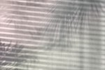 FotoTAPETA na flizelinie XXL4-059 Shadows