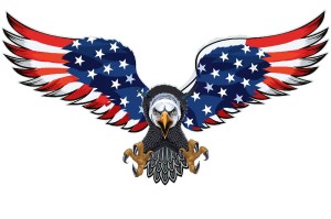 Fototapeta na flizelinie MS-5-1493 American eagle z flagą 375 x 250 cm