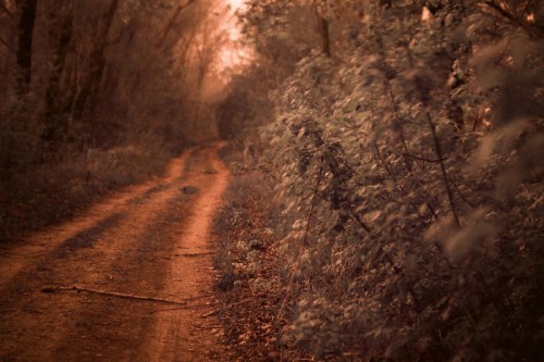 348710