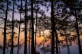 231f3702c2229776ad149c01f0434784