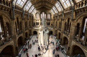 Fototapeta na Flizelinie MS-5-0941 Hintze Hall, Londyn 375 x 250 cm