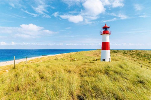 351442