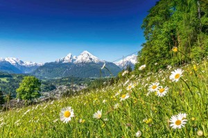 Fototapeta na Flizelinie MS-5-1302 Krajobraz alpejski 375 x 250 cm