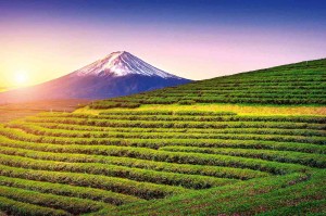 Fototapeta na flizelinie MS-5-1924 Fuji, Japonia 375 x 250 cm
