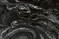 359818