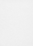 TAPETA 11032-10 RollOver27