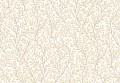 8366.jpg