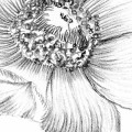 csm_XXL2-1035_Embroidery_A5_dcbfe90b8f.jpg