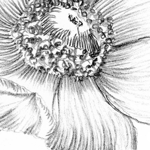 csm_XXL2-1035_Embroidery_A5_dcbfe90b8f.jpg