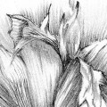 csm_XXL2-1035_Embroidery_A2_a556cb59bc.jpg