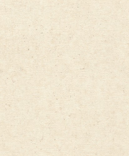 TAPETA 520835 CONCRETE