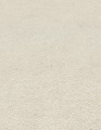 12262-02_zoom.jpg