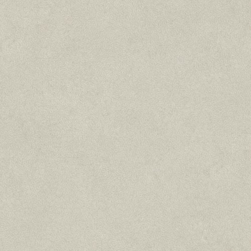 1d31a2421cb7837aeebafd608a3aa4e2