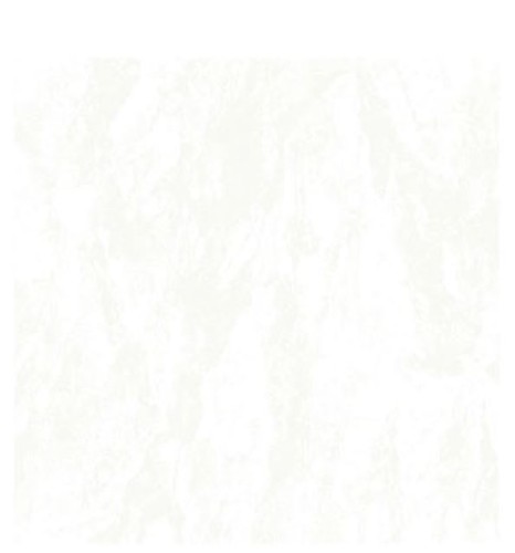 02f7359efd3904513770eaaf9006990d