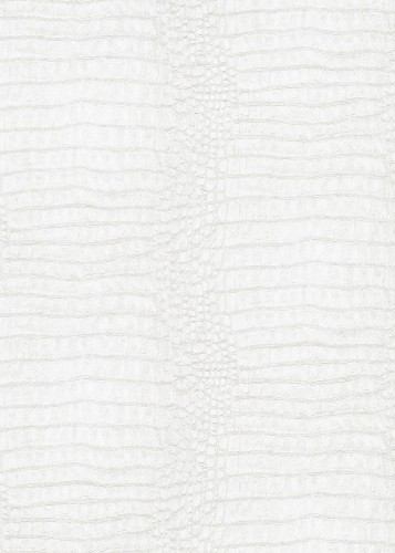 9ed8fb36d57da1eee1f3e12bfb46975f