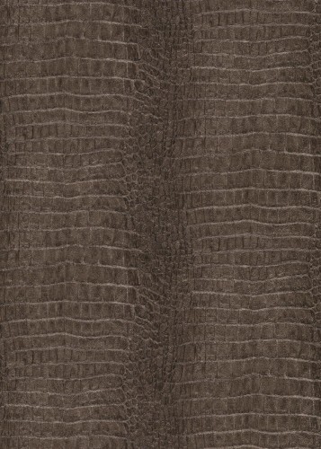 2c917094e8154f6866be6a5544b20ecc