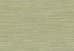 TAPETA 5885 JAIPUR - JAKHAADI