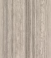 49399ecec0ff89a24d8c8e09b47ea30a