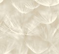 TAPETA 210901 Grandeco  Dmuchawce