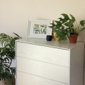 Okleina Meblowa 200-2602 D-C-FIX drewno perłowe białe szer 45 cm