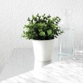 Okleina Meblowa 200-5312 D-C-FIX marmi grau szer 90 cm