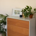 Okleina Meblowa 200-2904 D-C-FIX olcha średnia szer 45 cm