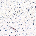Okleina Meblowa 200-8347 D-C-FIX Terazzo Neo szer 67,5 cm