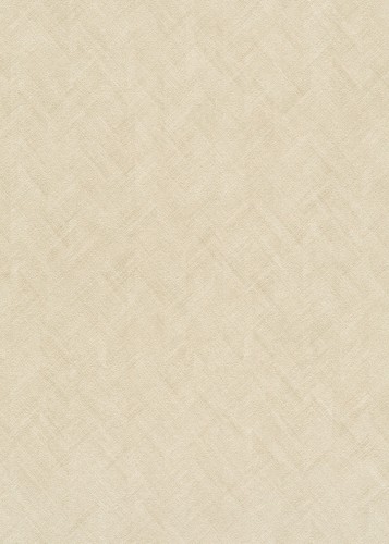 8e01883edf0ef9a4a5004734b00d64f6