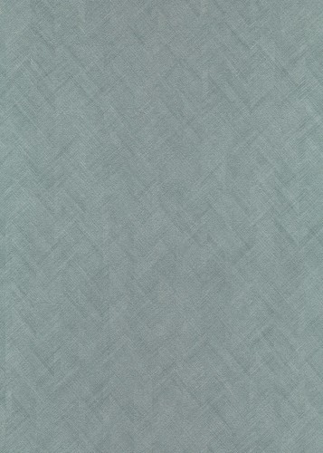 6c1bc4a2d76f111c041c3d06cc99c517