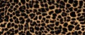 4b534e4037e00c6152ecb83162050f23