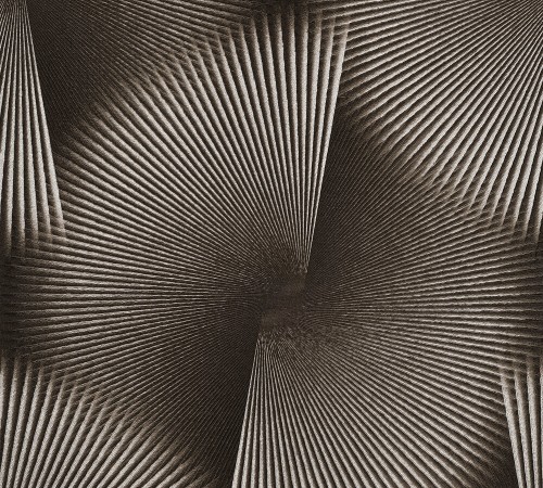 5e2727d7300af8fd5c3003dcc750c774