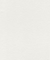 TAPETA 340709 PURE WHITE