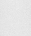 TAPETA 256406 PURE WHITE