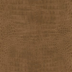 TAPETA 751314 AFRICAN QUEEN III