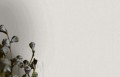 TAPETA 33328 BOTANICA