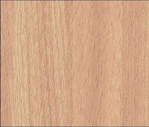 Okleina Meblowa 10805 / 55635 Venilia buk plamisty naturalny szer 67,5 cm