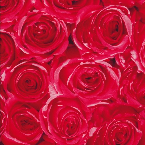 OKLEINA MEBLOWA GEKKOFIX 12679 ROSES