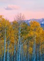 Fototapeta na flizelinie 5066-2V-1 Birches and Mountains