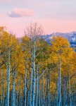 FotoTAPETA na flizelinie 5066-4 Birches and Mountains