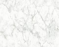 TAPETA 36157-3 NEUE BUDE 2.0 i MATERIALS/BLACK AND WHITE 4