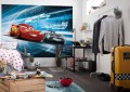 Fototapeta 4-423 Cars3 Simulation