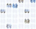 TAPETA 35862-2 LITTLE STARS