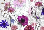 FotoTAPETA 8-887 Purple