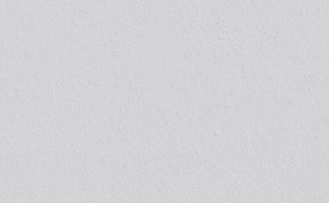 TAPETA Rauhfaser Mittel PLUS BIAŁA Erfurt Raufaza 25mb